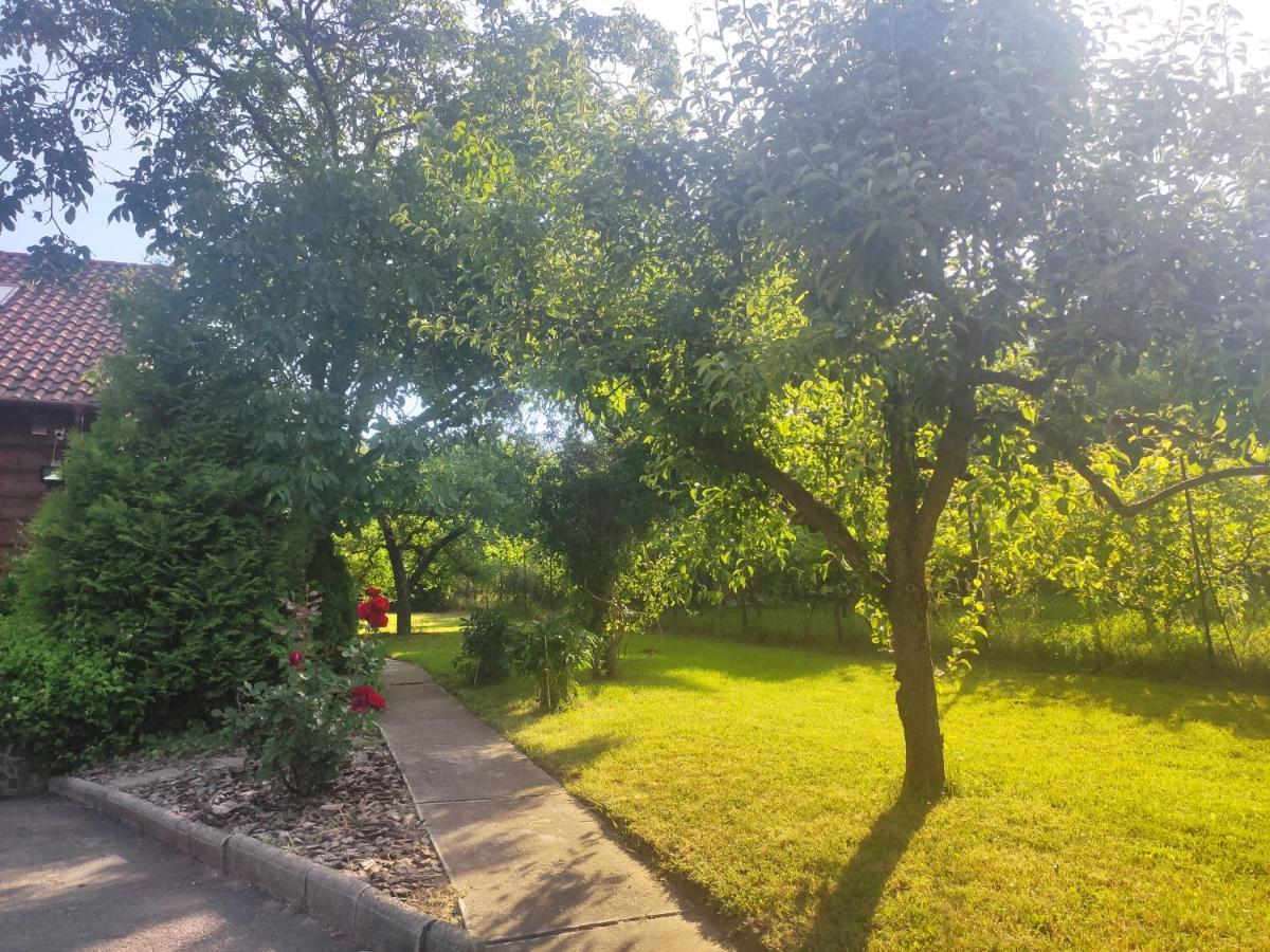 Vendeghaz A Hegyen Villa Budapest Exteriör bild